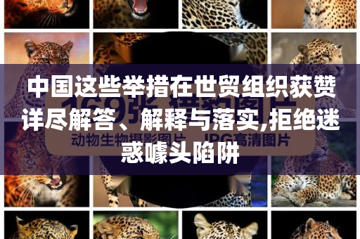 中國這些舉措在世貿組織獲贊詳盡解答、解釋與落實,拒絕迷惑噱頭陷阱