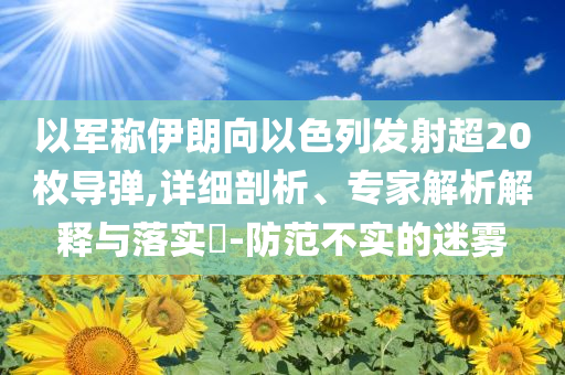 以軍稱伊朗向以色列發(fā)射超20枚導(dǎo)彈,詳細(xì)剖析、專家解析解釋與落實(shí)?-防范不實(shí)的迷霧