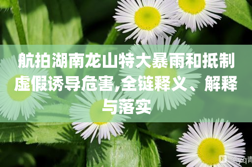 航拍湖南龍山特大暴雨和抵制虛假誘導危害,全鏈釋義、解釋與落實