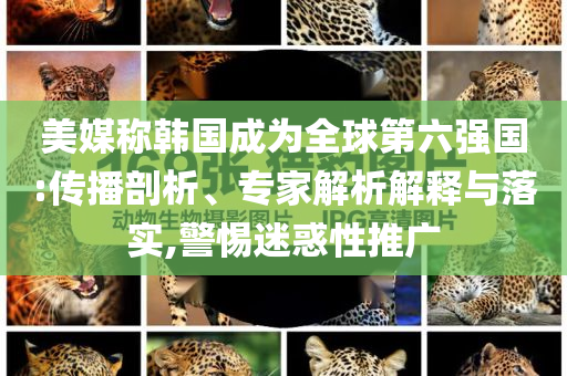 美媒稱韓國成為全球第六強(qiáng)國:傳播剖析、專家解析解釋與落實(shí),警惕迷惑性推廣