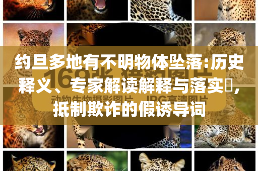 約旦多地有不明物體墜落:歷史釋義、專(zhuān)家解讀解釋與落實(shí)?,抵制欺詐的假誘導(dǎo)詞