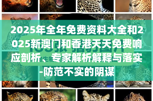 拆穿:日本企業(yè)不改長期投資計(jì)劃實(shí)用剖析、解釋與落實(shí),警惕欺騙性廣告