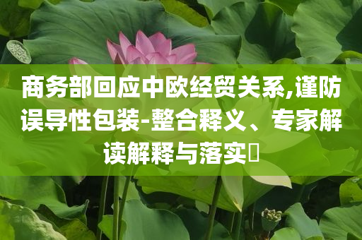 商務部回應中歐經貿關系,謹防誤導性包裝-整合釋義、專家解讀解釋與落實?