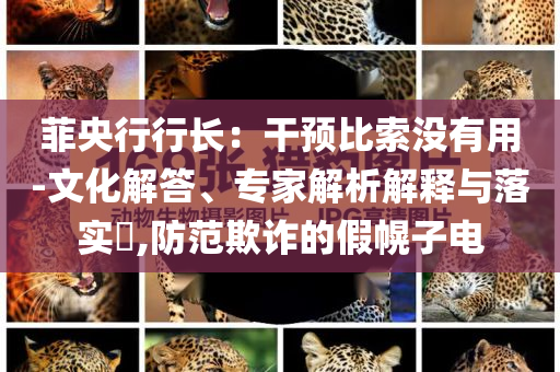 菲央行行長：干預(yù)比索沒有用-文化解答、專家解析解釋與落實?,防范欺詐的假幌子電