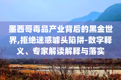 墨西哥毒品產業(yè)背后的黑金世界,拒絕迷惑噱頭陷阱-數字釋義、專家解讀解釋與落實