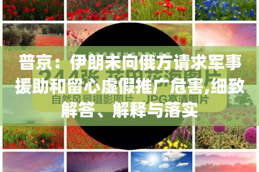 普京：伊朗未向俄方請(qǐng)求軍事援助和留心虛假推廣危害,細(xì)致解答、解釋與落實(shí)