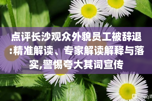 點(diǎn)評長沙觀眾外貌員工被辭退:精準(zhǔn)解讀、專家解讀解釋與落實,警惕夸大其詞宣傳