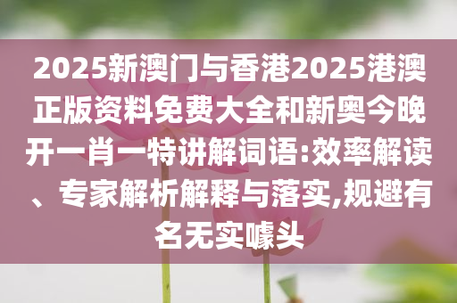 2025新澳門與香港2025港澳正版資料免費大全和新奧今晚開一肖一特講解詞語:效率解讀、專家解析解釋與落實,規(guī)避有名無實噱頭