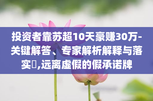 投資者靠蘇超10天豪賺30萬-關鍵解答、專家解析解釋與落實?,遠離虛假的假承諾牌