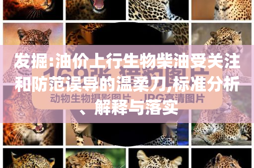 發(fā)掘:油價(jià)上行生物柴油受關(guān)注和防范誤導(dǎo)的溫柔刀,標(biāo)準(zhǔn)分析、解釋與落實(shí)