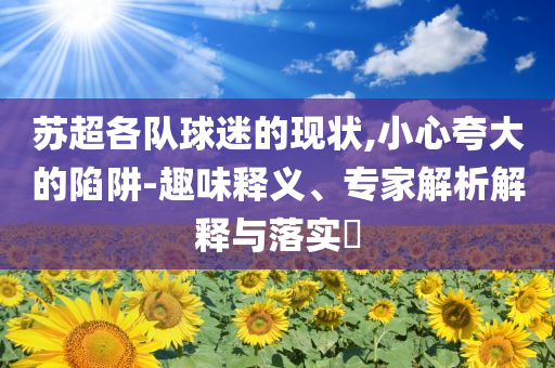 蘇超各隊(duì)球迷的現(xiàn)狀,小心夸大的陷阱-趣味釋義、專家解析解釋與落實(shí)?