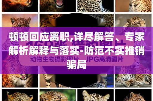 頓頓回應(yīng)離職,詳盡解答、專家解析解釋與落實-防范不實推銷騙局