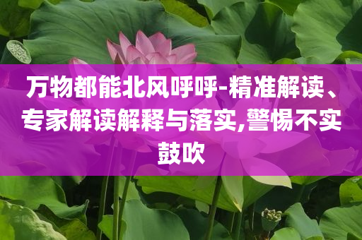 萬(wàn)物都能北風(fēng)呼呼-精準(zhǔn)解讀、專家解讀解釋與落實(shí),警惕不實(shí)鼓吹