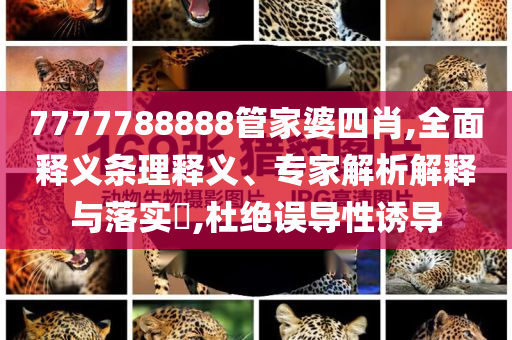 7777788888管家婆四肖,全面釋義條理釋義、專家解析解釋與落實?,杜絕誤導(dǎo)性誘導(dǎo)