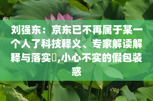 劉強(qiáng)東：京東已不再屬于某一個人了科技釋義、專家解讀解釋與落實(shí)?,小心不實(shí)的假包裝惑