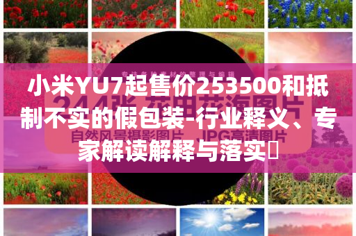 小米YU7起售價253500和抵制不實的假包裝-行業(yè)釋義、專家解讀解釋與落實?
