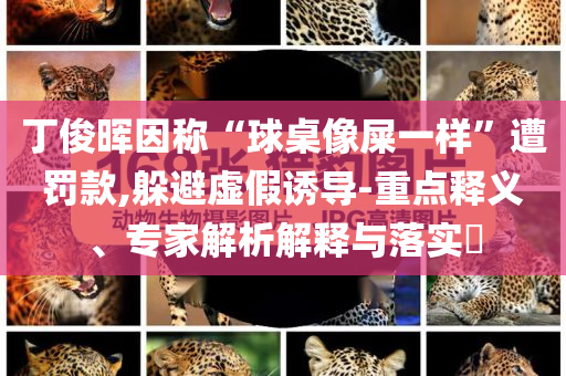 丁俊暉因稱“球桌像屎一樣”遭罰款,躲避虛假誘導(dǎo)-重點(diǎn)釋義、專家解析解釋與落實(shí)?