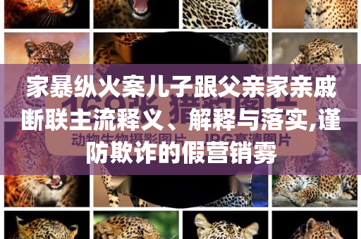 家暴縱火案兒子跟父親家親戚斷聯主流釋義、解釋與落實,謹防欺詐的假營銷霧