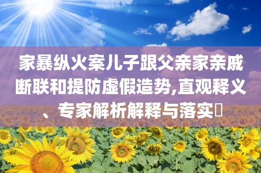 家暴縱火案兒子跟父親家親戚斷聯(lián)和提防虛假造勢(shì),直觀釋義、專家解析解釋與落實(shí)?