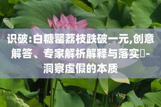 識(shí)破:白糖罌荔枝跌破一元,創(chuàng)意解答、專家解析解釋與落實(shí)?-洞察虛假的本質(zhì)
