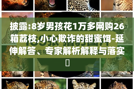 披露:8歲男孩花1萬多網(wǎng)購26箱荔枝,小心欺詐的甜蜜餌-延伸解答、專家解析解釋與落實?