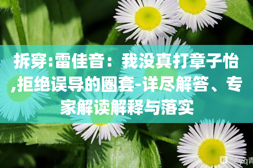 拆穿:雷佳音：我沒真打章子怡,拒絕誤導(dǎo)的圈套-詳盡解答、專家解讀解釋與落實