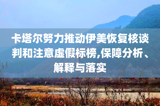 卡塔爾努力推動(dòng)伊美恢復(fù)核談判和注意虛假標(biāo)榜,保障分析、解釋與落實(shí)