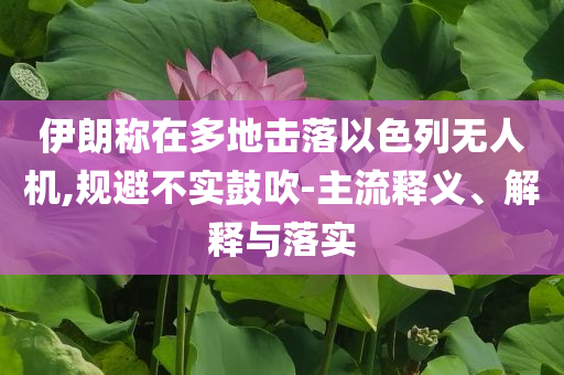 伊朗稱在多地?fù)袈湟陨袩o(wú)人機(jī),規(guī)避不實(shí)鼓吹-主流釋義、解釋與落實(shí)