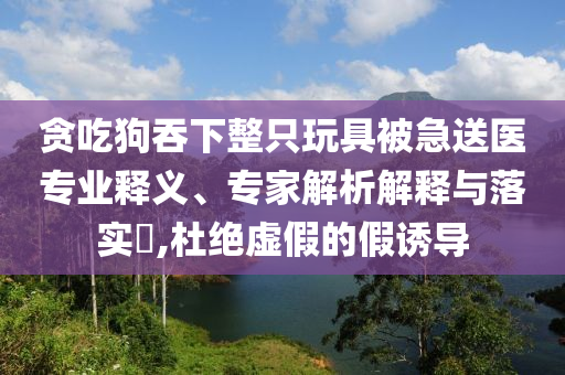 貪吃狗吞下整只玩具被急送醫(yī)專業(yè)釋義、專家解析解釋與落實(shí)?,杜絕虛假的假誘導(dǎo)