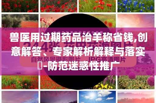 獸醫(yī)用過期藥品治羊稱省錢,創(chuàng)意解答、專家解析解釋與落實(shí)?-防范迷惑性推廣