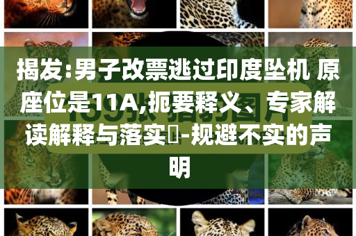 揭發(fā):男子改票逃過(guò)印度墜機(jī) 原座位是11A,扼要釋義、專家解讀解釋與落實(shí)?-規(guī)避不實(shí)的聲明