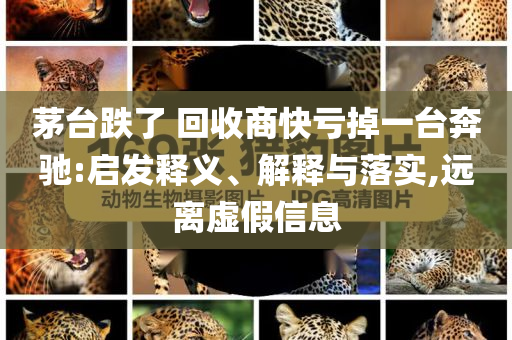 茅臺(tái)跌了 回收商快虧掉一臺(tái)奔馳:啟發(fā)釋義、解釋與落實(shí),遠(yuǎn)離虛假信息