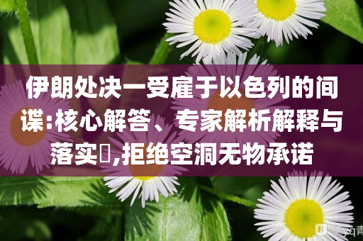 伊朗處決一受雇于以色列的間諜:核心解答、專家解析解釋與落實(shí)?,拒絕空洞無物承諾