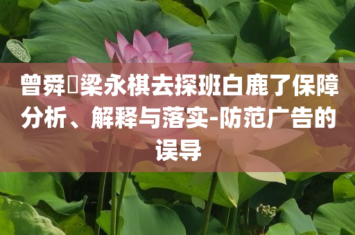 曾舜晞梁永棋去探班白鹿了保障分析、解釋與落實(shí)-防范廣告的誤導(dǎo)