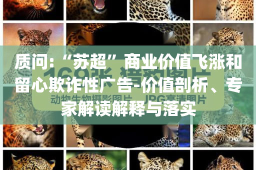 質(zhì)問:“蘇超”商業(yè)價(jià)值飛漲和留心欺詐性廣告-價(jià)值剖析、專家解讀解釋與落實(shí)