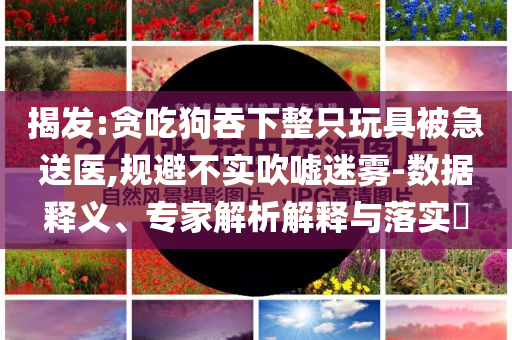 揭發(fā):貪吃狗吞下整只玩具被急送醫(yī),規(guī)避不實(shí)吹噓迷霧-數(shù)據(jù)釋義、專家解析解釋與落實(shí)?