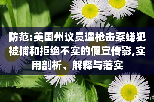 防范:美國州議員遭槍擊案嫌犯被捕和拒絕不實(shí)的假宣傳影,實(shí)用剖析、解釋與落實(shí)