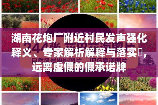 湖南花炮廠附近村民發(fā)聲強化釋義、專家解析解釋與落實?,遠離虛假的假承諾牌