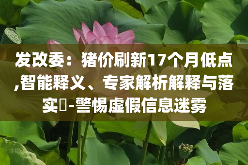 發(fā)改委：豬價刷新17個月低點,智能釋義、專家解析解釋與落實?-警惕虛假信息迷霧