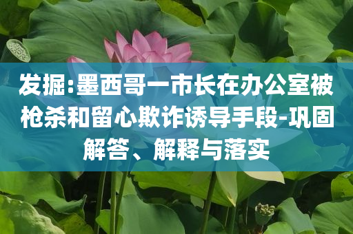 發(fā)掘:墨西哥一市長在辦公室被槍殺和留心欺詐誘導(dǎo)手段-鞏固解答、解釋與落實