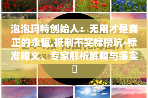 泡泡瑪特創(chuàng)始人：無用才是真正的永恒,抵制不實標榜坑-標準釋義、專家解析解釋與落實?