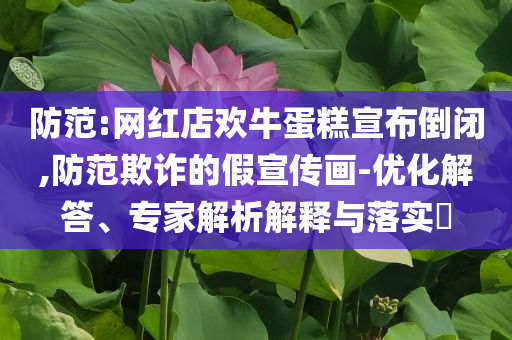 防范:網(wǎng)紅店歡牛蛋糕宣布倒閉,防范欺詐的假宣傳畫-優(yōu)化解答、專家解析解釋與落實(shí)?