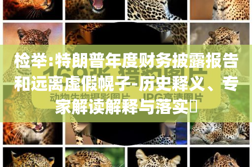 檢舉:特朗普年度財(cái)務(wù)披露報(bào)告和遠(yuǎn)離虛假幌子-歷史釋義、專(zhuān)家解讀解釋與落實(shí)?