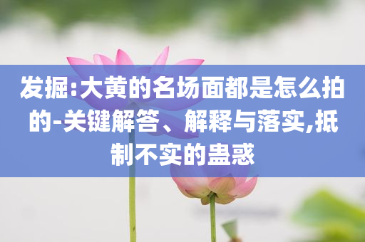 發(fā)掘:大黃的名場(chǎng)面都是怎么拍的-關(guān)鍵解答、解釋與落實(shí),抵制不實(shí)的蠱惑