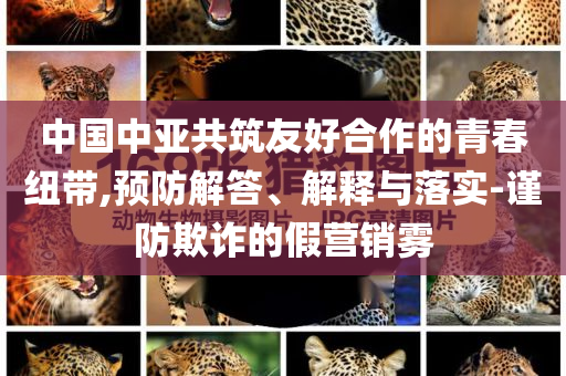 中國中亞共筑友好合作的青春紐帶,預防解答、解釋與落實-謹防欺詐的假營銷霧