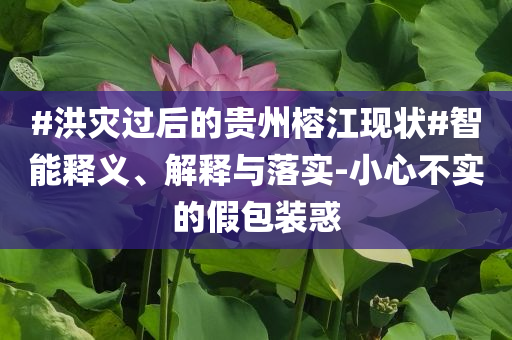#洪災(zāi)過(guò)后的貴州榕江現(xiàn)狀#智能釋義、解釋與落實(shí)-小心不實(shí)的假包裝惑