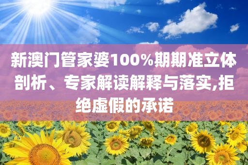 新澳門管家婆100%期期準(zhǔn)立體剖析、專家解讀解釋與落實(shí),拒絕虛假的承諾