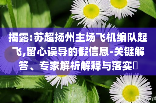 揭露:蘇超揚(yáng)州主場(chǎng)飛機(jī)編隊(duì)起飛,留心誤導(dǎo)的假信息-關(guān)鍵解答、專(zhuān)家解析解釋與落實(shí)?