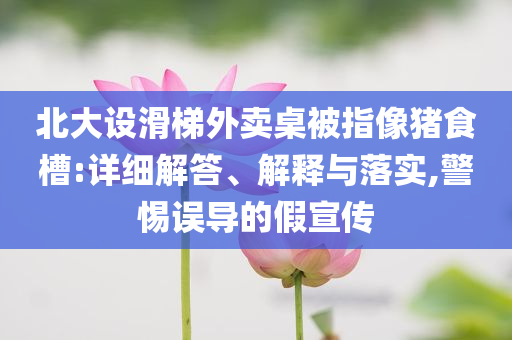 北大設(shè)滑梯外賣桌被指像豬食槽:詳細解答、解釋與落實,警惕誤導的假宣傳
