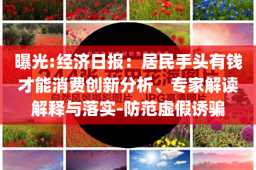 曝光:經(jīng)濟日報：居民手頭有錢才能消費創(chuàng)新分析、專家解讀解釋與落實-防范虛假誘騙